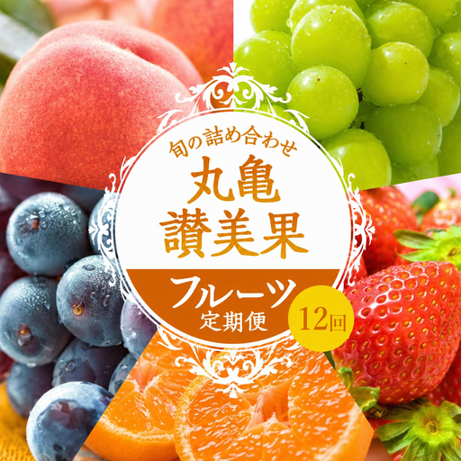 フルーツ定期便 12回 旬のフルーツ 果物 定期便 