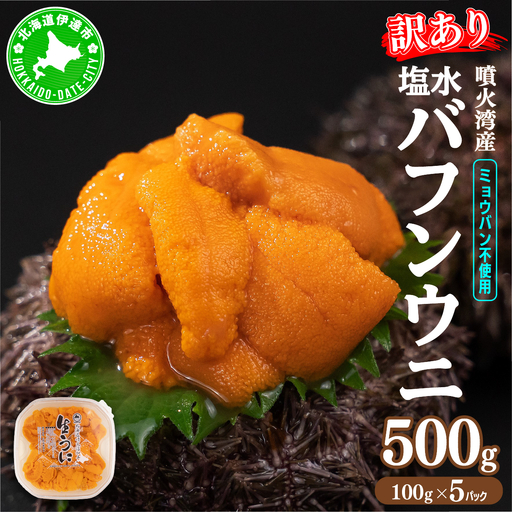 訳あり 北海道 噴火湾産 塩水 バフンウニ 100g 5パック 計500g 《アフター保証付き》うに ウニ 雲丹 海鮮 海の幸 魚介類 ウニ丼 お寿司 濃厚 無添加 産地直送 お取り寄せ 山村水産 送料無料