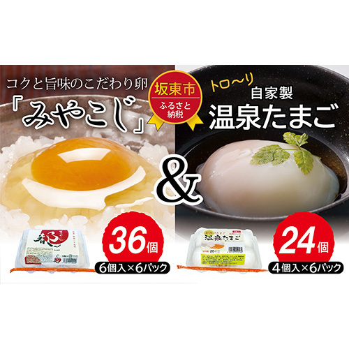 伝承卵「みやこじ」と「温泉たまご」の詰合せ No.217