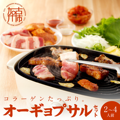 【コラーゲンたっぷり！】オーギョプサル(皮付豚肉)味噌、塩セット(2～4人前)《 肉 豚肉 豚 オーギョプサル 自家製キムチ 巻き野菜付き セット 》【2302A09911】