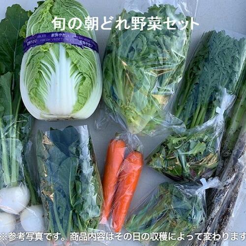 旬の朝どれ野菜おまかせセット / やさい 朝採れ 埼玉県