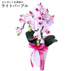 01 造花 シルクフラワーのミニ胡蝶蘭の鉢植 3本立 CT触媒 ライトパープル / お花 コチョウラン 埼玉県