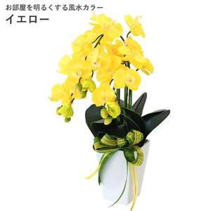 02 造花 シルクフラワーのミニ胡蝶蘭の鉢植え 3本立 CT触媒 イエロー / お花 コチョウラン 埼玉県