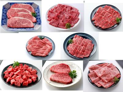 伊万里牛あじわい定期便 6回便 ヒレステーキ 焼肉 すき焼き しゃぶしゃぶ 999-J954