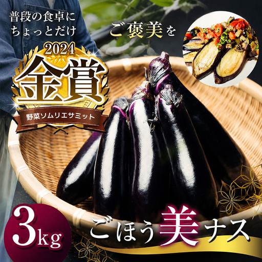 野菜ソムリエサミット金賞「ごほう美ナス」 約3kg