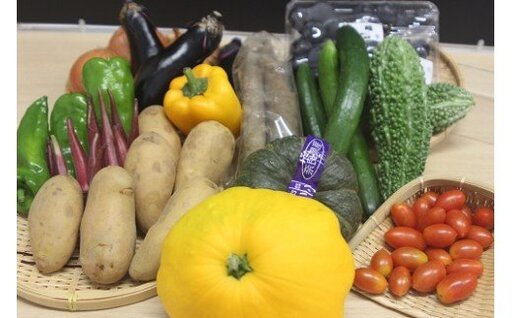 農産物直売所「まほろばキッチン」旬の野菜詰め合わせ 野菜 旬野菜 I-127