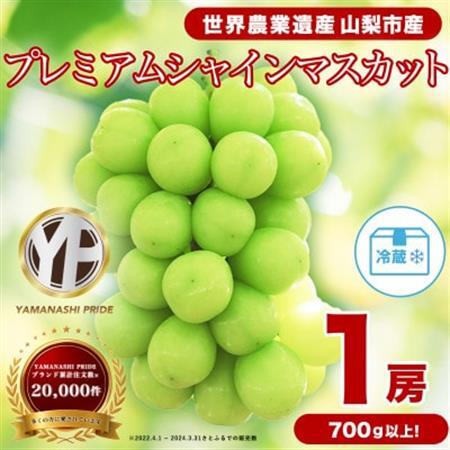 2026年発送 フルーツ王国山梨産厳選 大房シャインマスカット 1房 (約700～800g)【配送不可地域：離島】【1134568】