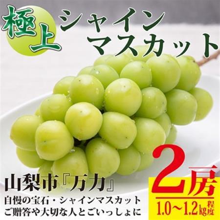 【2026年発送 】生産者直送『万力』極上シャインマスカット2房　計1kg～1.2kg程度【配送不可地域：離島】【1137178】