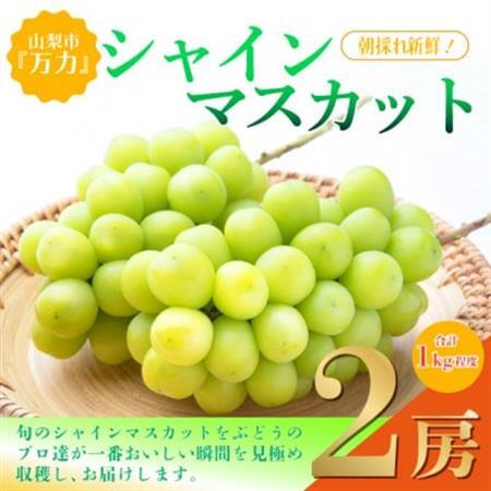 【2026年発送】シャインマスカット2房 (計1kg程度) 生産者直送 ! 山梨市万力産_甘いシャインマスカット あまいシャインマスカット 美味しいシャインマスカット おいしいシャインマスカット 人気のシャインマスカット_【配送不可地域：離島】【1227218】