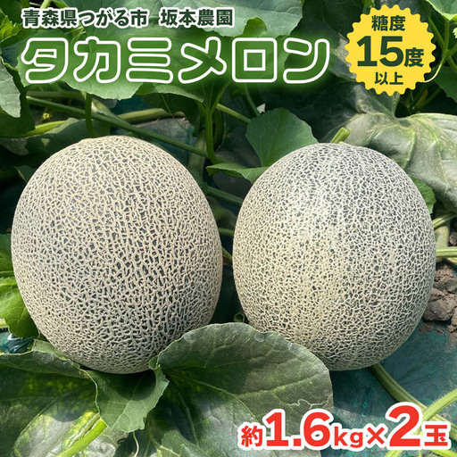 坂本農園のブランドメロン タカミ (約1.6kg×2玉) 糖度15度以上 [0822]