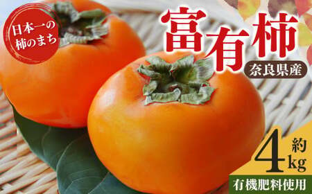 富有柿 約 4kg 12〜18玉 | 果物 柿 梨子本農園
