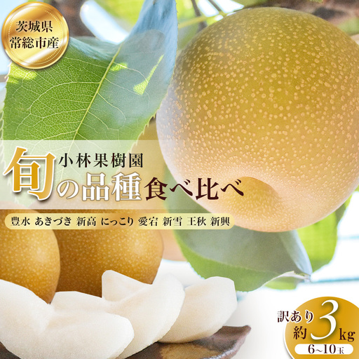 【訳アリ！先行予約】小林果樹園の梨 6～10玉 約3kg　※2026年9月～発送