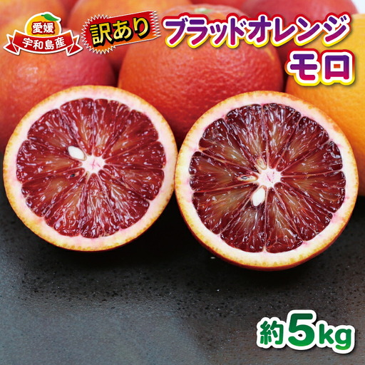 訳あり ブラッド オレンジ モロ 5kg 大田農園 オレンジ