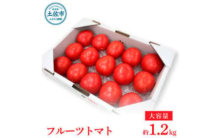 [先行予約]お徳用フルーツトマトLサイズ 1.2kg・約15玉・Lサイズ[2027年1月上旬〜6月上旬] 高知県 土佐市[池トマト][BQAG008]