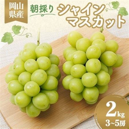 岡山県産　朝採りシャインマスカット　2kg_果物・フルーツ ぶどう・マスカット  ブドウ 葡萄 _【配送不可地域：離島】【1073053】