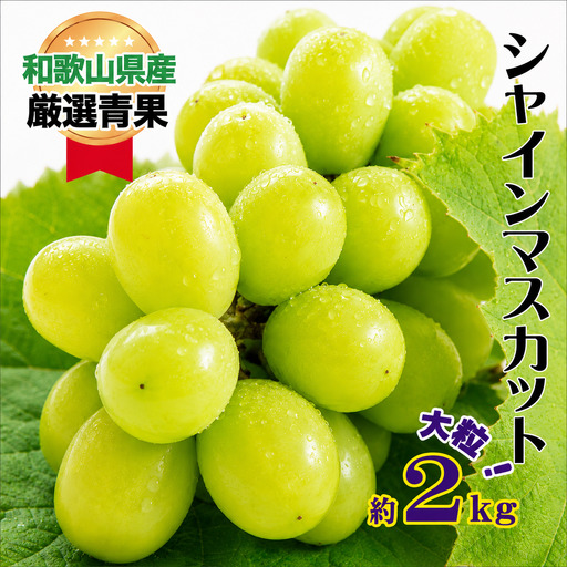 大人気 シャイン マスカット 約2kg (4～5房)【8月上旬～下旬発送】【A216-frks112A】