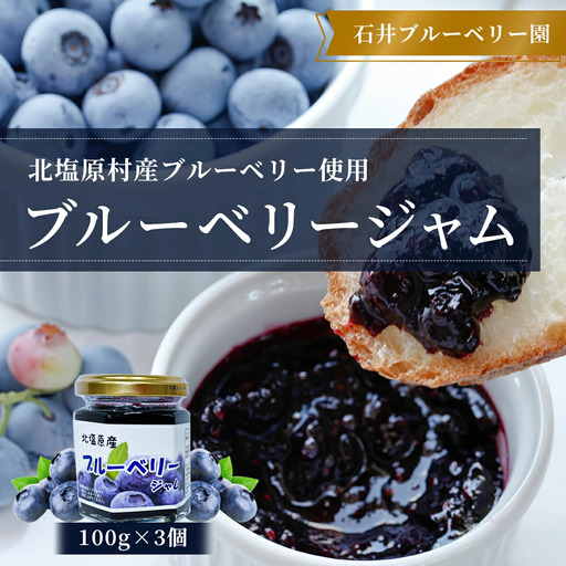 ブルーベリージャム100g×3個セット(石井ブルーベリー園) KBI001
