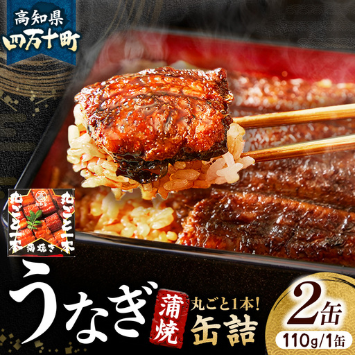 四万十うなぎ 蒲焼き 丸ごと一本缶詰（2本セット） うなぎ缶詰 国産鰻 備蓄 防災食 非常食 ／Esu-123
