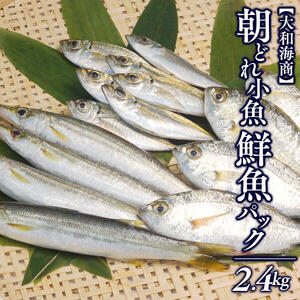 [単月お届け]大和海商の朝どれ鮮魚小魚パック2.4kg
