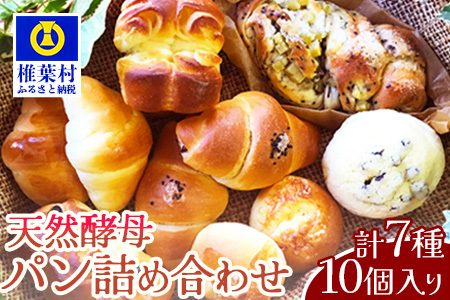 [秘境・椎葉村の愛されパン屋さん] 天然酵母パン 詰め合わせ 7種10個セット パン 天然酵母 詰め合せ セット メロンパン あん塩 バターロール おさつ ブレッド デニッシュ ミニ食パン レーズン バターロール