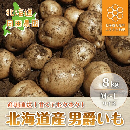 [先行予約 令和8年10月上旬発送]北海道産じゃがいも「男爵」8kg