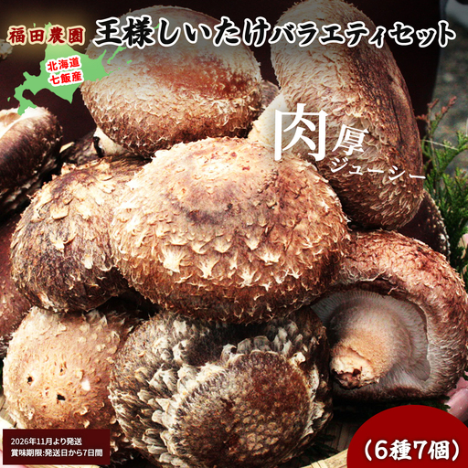 【先行予約】【2026年11月より発送】王様しいたけバラエティセット（6種7個） 福田農園 NAT003