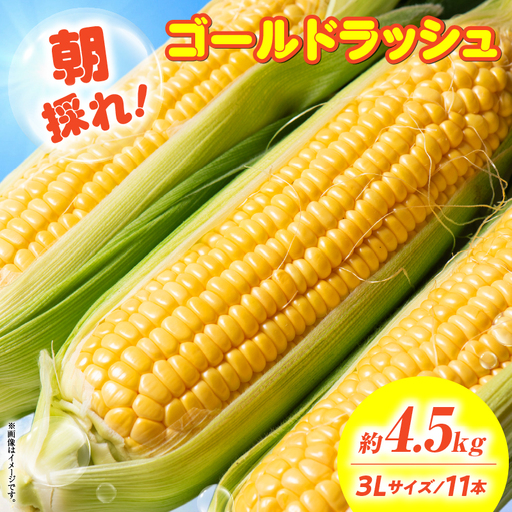 朝採れ！国富町産ゴールドラッシュ4.5kg3L11本_kn028-002