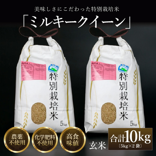 【先行予約】【令和8年産 新米】 ミルキークイーン 玄米 10kg （5kg×2袋） 特別栽培米 農薬不使用 化学肥料不使用 ／ 高品質 鮮度抜群 福井県産 ブランド米 ※2026年10月上旬以降順次発送 [aw063-c002]