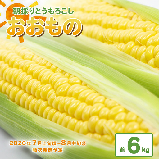 とうもろこし おおもの 約6kg 茨城県産 トウモロコシ