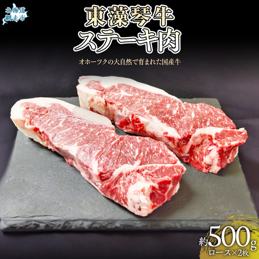 東藻琴牛ステーキ肉約500g×2枚 【 ふるさと納税 人気 おすすめ ランキング 牛肉 牛 肉 ステーキ ソース 料理 セット 詰合せ 北海道 大空町 送料無料 】 OSM002