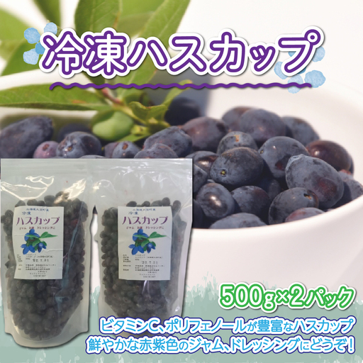 冷凍ハスカップ500g×2パック OSO001 | ハスカップ