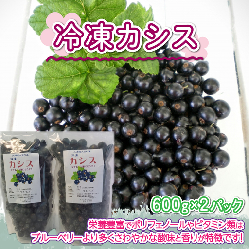 【先行受付 2025年8月中旬頃発送】冷凍カシス600g×2パック 【 ふるさと納税 人気 おすすめ ランキング カシス 果実 果物 フルーツ ヨーグルト ジャム スムージー 酒 リキュール 冷凍 北海道 大空町 送料無料 】 OSO002
