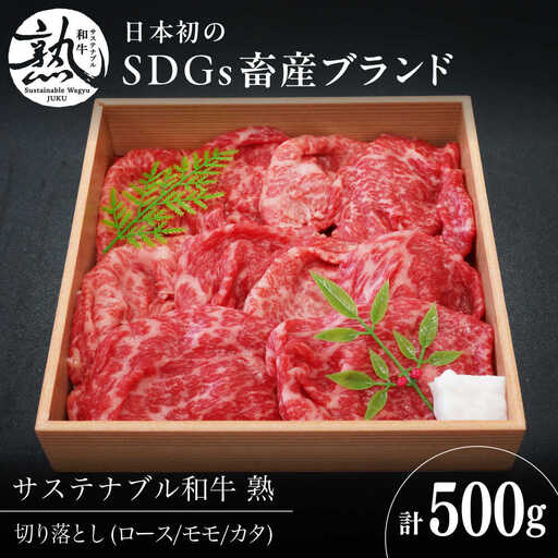 赤身 和牛 厳選 切り落とし 500g [AIAT018] 牛肉 切り落とし