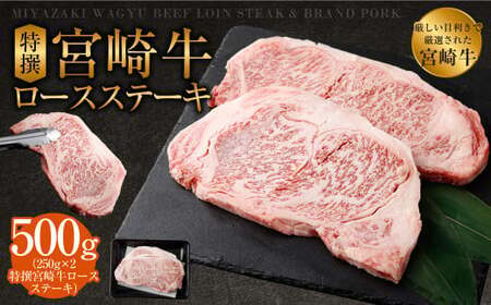 [特撰宮崎牛ロースステーキ 500g]2025年2月より順次出荷します[c507_hn_x1]