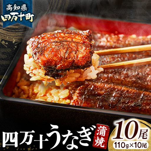 四万十うなぎ 蒲焼き (110g×10尾 ) うなぎ 国産鰻 土用の丑の日 ／Esu-117