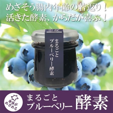 まるごとブルーベリー酵素_惣菜・加工品 果物 缶詰・瓶詰 _[配送不可地域:離島]
