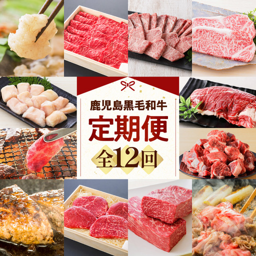 [全12回]鹿児島黒毛和牛定期便 K130-T01 肉 牛肉 冷凍