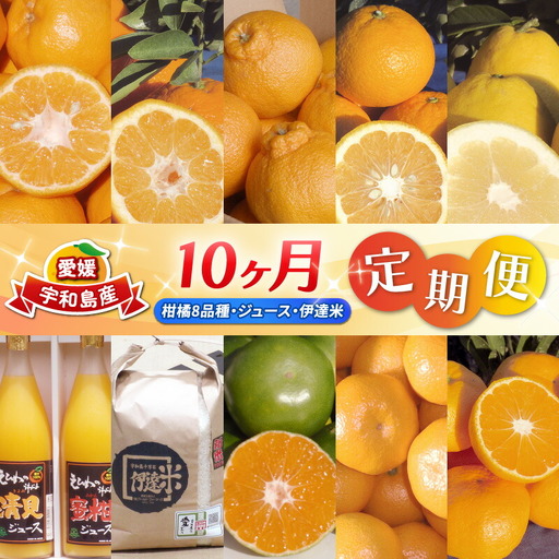 [柑橘] 柑橘 定期便 10ヶ月 WF