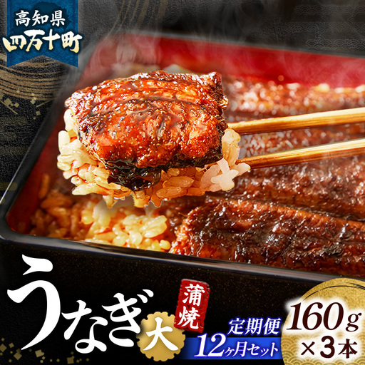 [鰻大好き定期便]四万十うなぎ蒲焼き≪大≫12カ月定期 160gx3本/ うなぎ 鰻 蒲焼 土用の丑の日