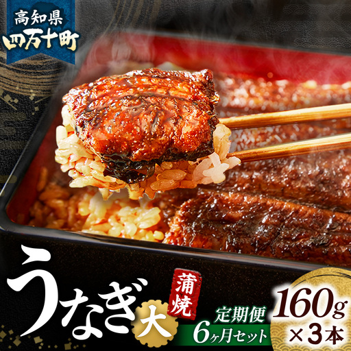 【鰻大好き定期便】四万十うなぎ 蒲焼き≪大≫ 6カ月定期 160gx3本／ うなぎ 国産鰻 土用の丑の日