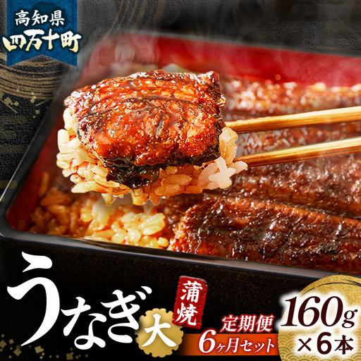 [鰻大好き定期便]四万十うなぎ蒲焼き≪大≫ 6カ月定期 160gx6本/ うなぎ 鰻 蒲焼 土用の丑の日