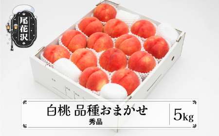 先行予約 桃 もも 白桃 秀品 品種おまかせ 5kg フルーツ 化粧箱入 果物 令和8年産 2026年産 山形県産 モモ ns-mohtx5