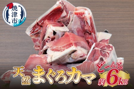 大きな 天然 まぐろ カマ 業務用 約6kg BBQにも (a10-907)