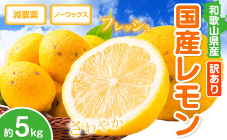 訳あり 国産レモン 約5kg (サイズ混合)  