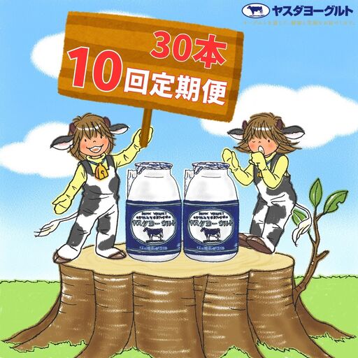 【10か月定期便】ヤスダヨーグルト 150g×30本×10回 小ボトル こだわり生乳 新鮮 濃厚 飲むヨーグルト のむよーぐると ヨーグルト 1B15131