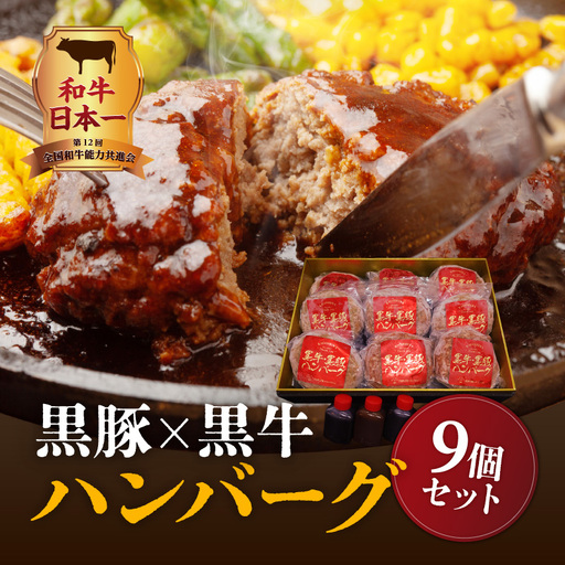 黒豚×黒牛ハンバーグ9個セット K098-005 肉 豚肉 牛肉 惣菜 総菜 冷凍
