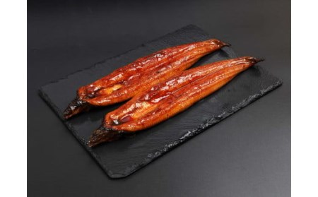 鹿児島県産うなぎ蒲焼2尾（280ｇ）冷蔵_ss0408_CR