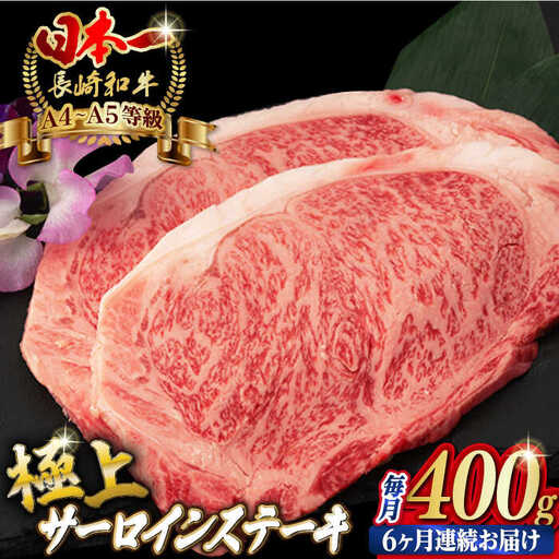 【全6回定期便】サーロイン ステーキ 2枚 400g 長崎和牛 A4?A5ランク 希少部位【野中精肉店】 [VF20] 肉 牛肉 サーロインステーキ 焼肉 定期便