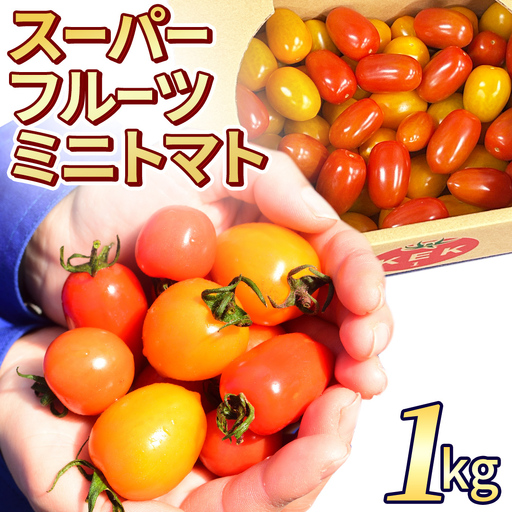 《 2027年 収穫分 》 スーパーフルーツミニトマト 約1kg 先行予約 ミニトマト フルーツトマト ブランドトマト 野菜 ギフト 贈答 [BC070sa]