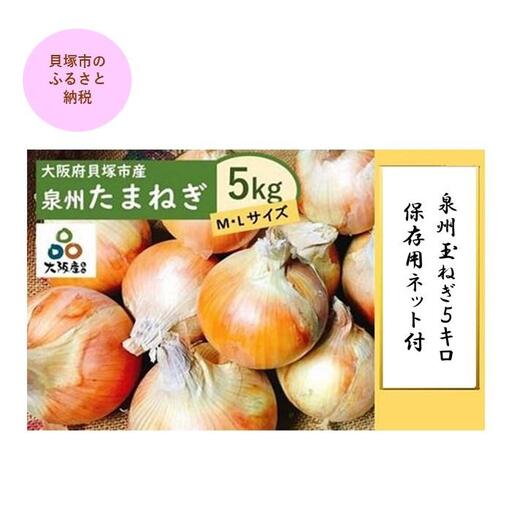 ＜2026年5月下旬発送＞泉州玉ねぎ５kg　保存用ネット付